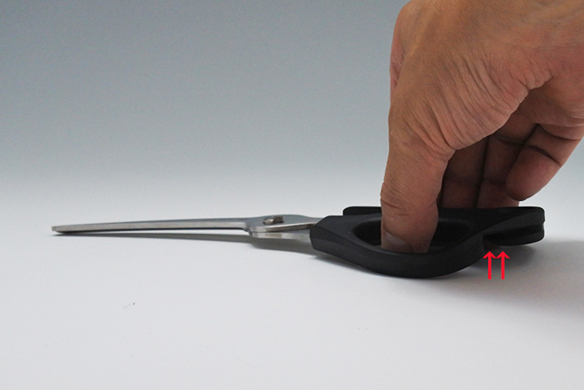 キッチンバサミ　合羽橋