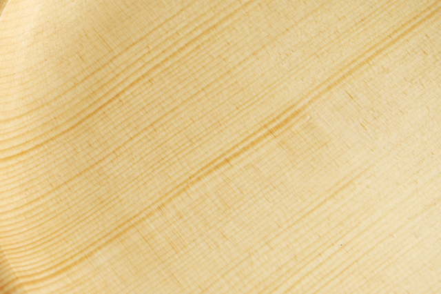 スプルース２７ｃｍトレー